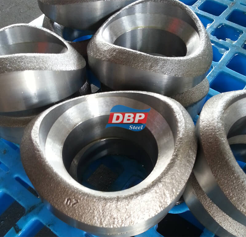  ASTM A182 F316L&F51 Forged Fittings 